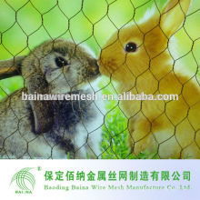 China Lieferant Hexagonal Dekorative Wire Mesh